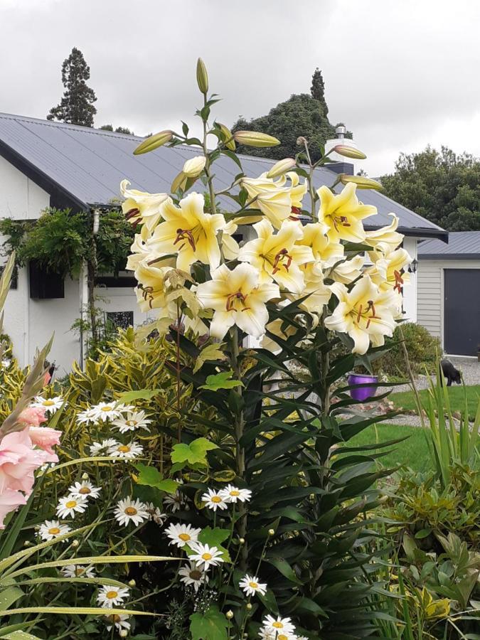 The Empty Nest Guest house