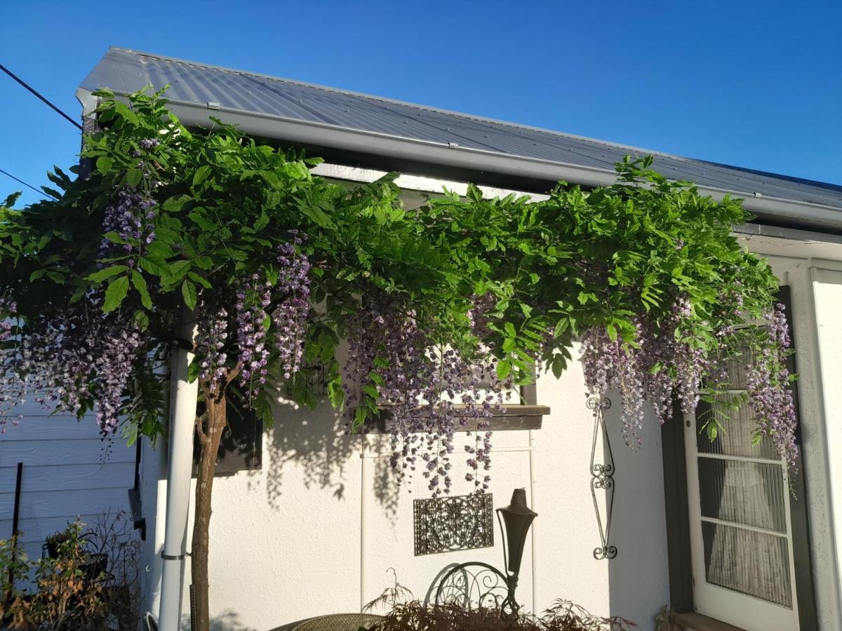 The Empty Nest Guest house