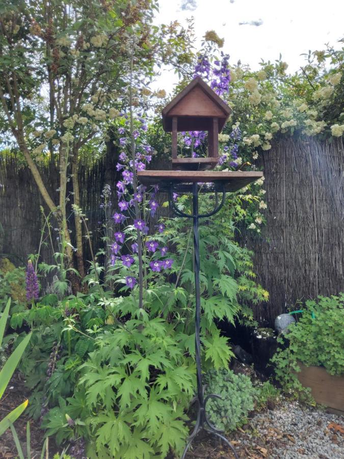 Gasthof The Empty Nest Geraldine